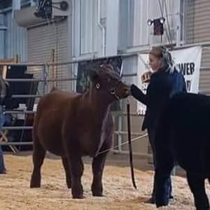 Meet your Posher, Emma